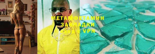 гидра Няндома