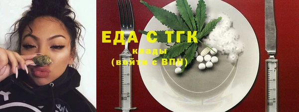 гидра Няндома