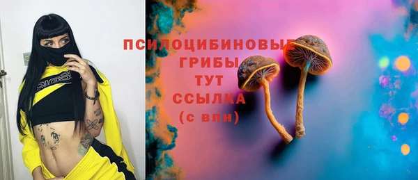соль ск Нягань