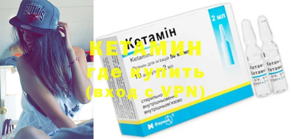гидра Няндома