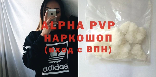 гидра Няндома