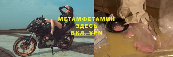 гидра Няндома
