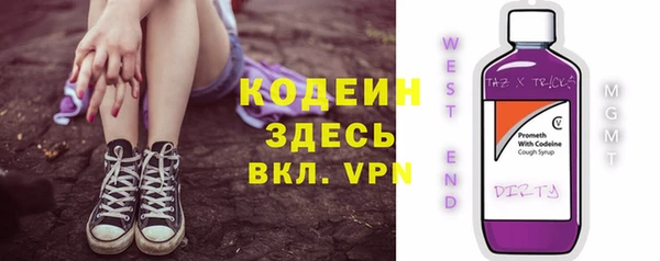 гидра Няндома