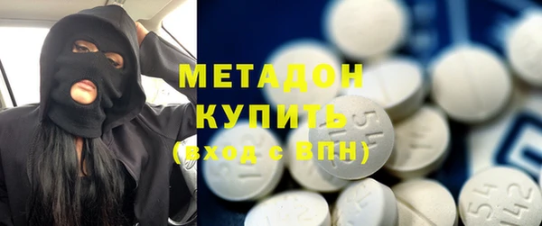 гидра Няндома