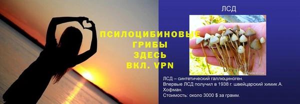 ГАЛЛЮЦИНОГЕННЫЕ ГРИБЫ Вязники