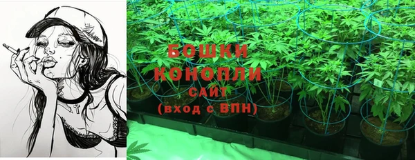 гидра Няндома
