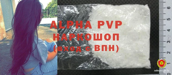 гидра Няндома