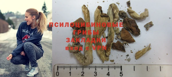 Альфа ПВП Нязепетровск