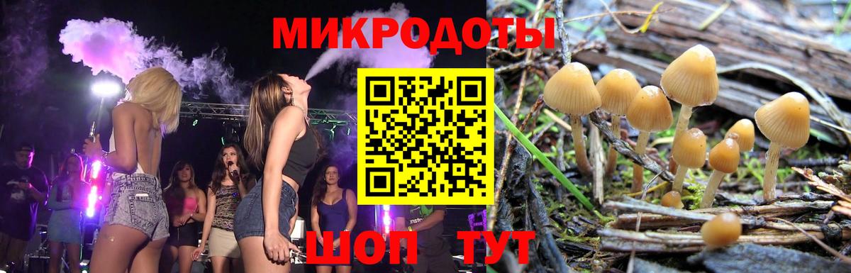 Галлюциногенные грибы мицелий  Вход с VPN  Кашира 